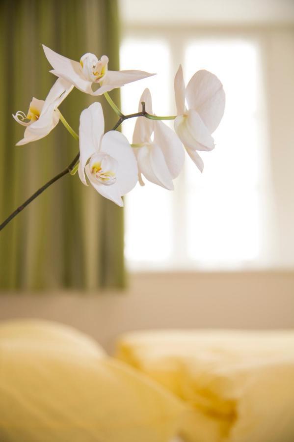 B&B Zum Guten Tropfen San Paolo  ภายนอก รูปภาพ